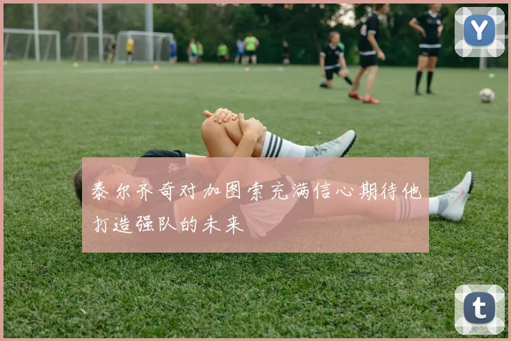 泰尔齐奇对加图索充满信心期待他打造强队的未来