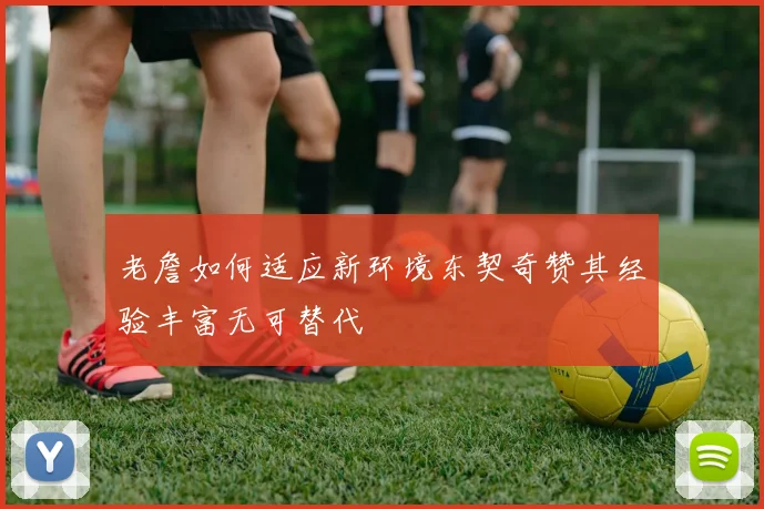 老詹如何适应新环境东契奇赞其经验丰富无可替代